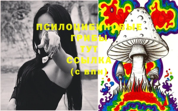 mix Алексин